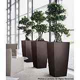 レチューザプランター：キュービコ30エスプレッソ潅水装置付