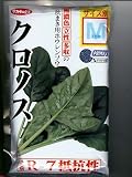 クロノスほうれん草 サカタのタネのほうれん草種子