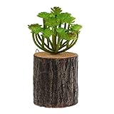Baoblade Baoblaze 木製の人工的な多肉植物の切り株リビングルームの壁の装飾 - 4