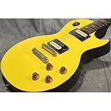 Gibson USA ギブソンＵＳＡ / Tak Matsumoto Les Paul Can...