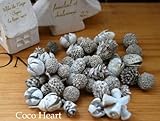 ~Coco Heart~　ミニコーンアソート　グレイッシュ　６０ｇ（木の実・ドライフラワー・クリスマス）