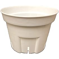 【スリット鉢】Ｓポット丸型60白300個他 2号6cmプレステラ多肉植物プラ鉢 スリット鉢 プラ鉢 6cm 2号 白（ホワイト） 10個 多肉植物 鉢