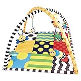 Sassy Busy Bugs Developmental Play Gym Toy by Sassy