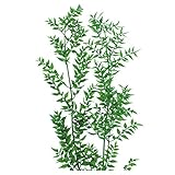 ラスカス ブリザードブド フレッシュグリーン 76-3560-731