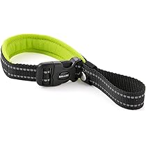 Amazon | フレキシ (flexi) ジャイアント テープ L(50kg未満) 10m