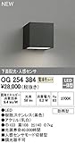 オーデリック　エクステリアライト　ポーチライト　【OG 254 384】OG254384