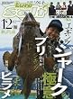 Lure magazine Salt (ルアーマガジン ソルト)2017年 12 月号 [雑誌]