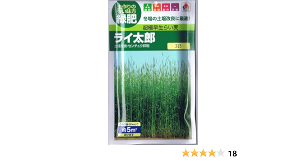 Amazon 種子 緑肥用ライムギ ライ太郎 60ml 芝生