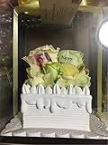 弱虫ペダル 秋田書店 バースデー完全受注生産品 プリザーブドフラワー 手嶋純太