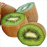 国華園　果樹苗　キウイ　香緑(メス木)　1株