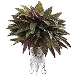 Peacock Bush with Metal Planter