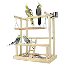 ことりのおおきなあそびば　インコ　文鳥　バードジム　バードアスレチック 51gb9Grl6uL._AC_UL210_SR210,