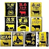 響　国産ご当地和牛肉・豚肉使用レトルトカレー　160g　10種各1袋　計10袋セット