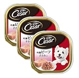 シーザー ドッグフード 吟撰ビーフ ささみ入り 100gｘ3個セット (まとめ買い)