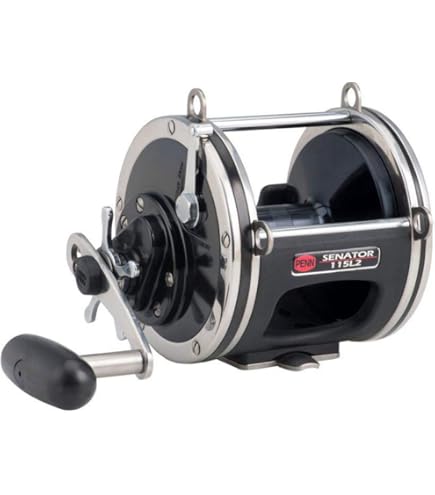 Amazon | PENN(ペン) スペシャルセネター PN SPECIAL SENATOR 114H2LW