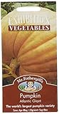 Exhibition Vegetables Pumpkin Atlantic Giant エグジビション・ベジ・パンプキン・アトランティック・ジャイアント
