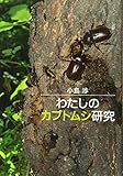 わたしのカブトムシ研究
