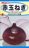 トーホク 赤玉ねぎ スターレッド