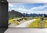wall26 自己粘着式壁紙 大型壁面シリーズ 66"x96" WMR-WP-X-CA47-66x24x4