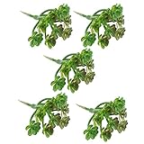 Homyl プラスチック製　人工多肉植物　造花　ルーム　室外　カフェ店　宴会　パーティー　背景装飾　５本入り - ２, 8cm