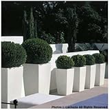 レチューザプランター：キュービコ40ホワイト潅水装置付[鉢]