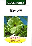【種子】 花オクラ 藤田種子