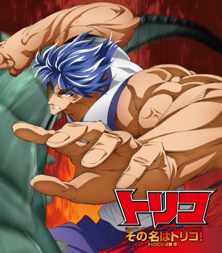 テレビアニメ　トリコ　DVD 20巻セット　セル版 テレビアニメ トリコ DVD 20巻セット セル版 トリコ DVD 20巻