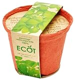 エコットＳ　バジル