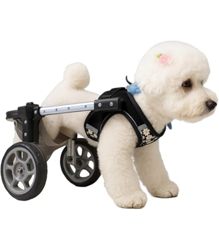 Amazon.co.jp: MIKEART 犬用車椅子 歩行器 車いす 4輪 歩行補助 ペット