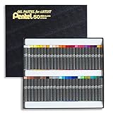 ぺんてる 専門家用パス 49色