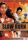 SLOW BURN�`�`���̃_�C�������h�`