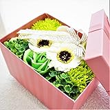 BIOフレグランスソープフラワー　ストライプミニボックス　フタ付ボックス　お祝い　記念日　お見舞い　母の日　ホワイトデー　バレンタインデー　(グリーン)