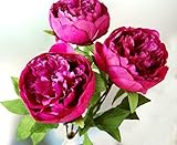 三つは、人工ダークピンクのシャクヤクの茎