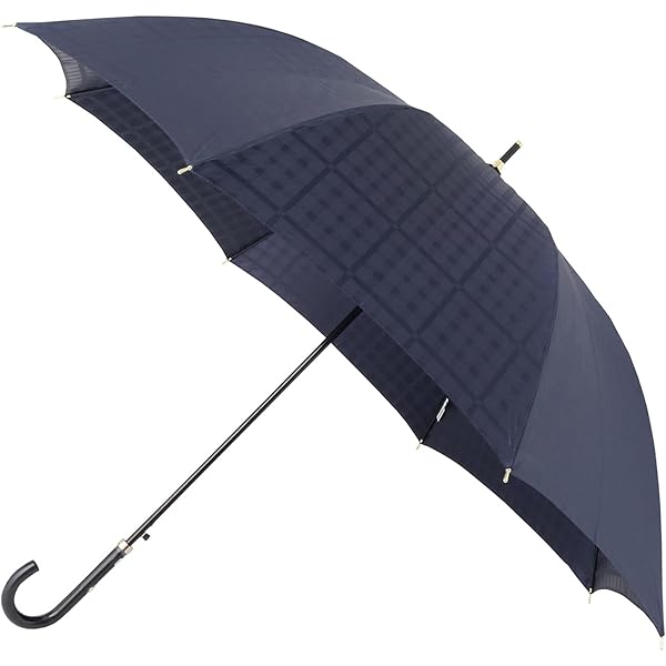 Amazon | ムーンバット 【ランバン オン ブルー】雨傘長傘 先