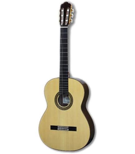 Amazon.co.jp: ASTURIAS（アストリアス） アコースティックギター SOLO