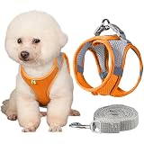 犬 ハーネス DPEAN リード セット 犬用胴輪 小型犬 中型犬 引っ張り防止 メッシュ サイズ調整可能 夜間反射材 抜けない 通気性 着脱簡単 訓練 散歩 歩行補助 安全 しつけ用 可愛い（オレンジ，M）