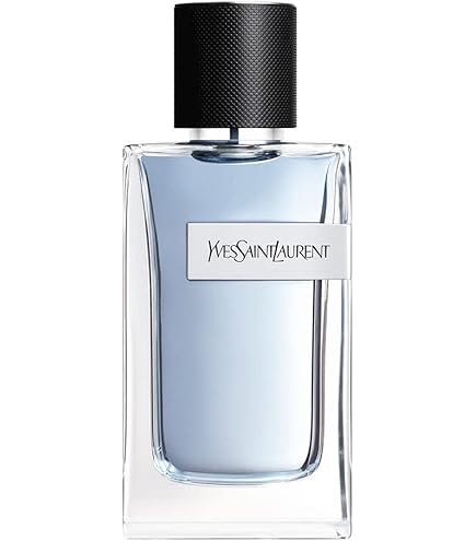Amazon | イヴ サンローラン YSL Y MEN メン オードトワレ 60ml EDT