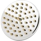 Waxman Consumer Products Group Body Moods RainSplash Showerhead 8681000B
