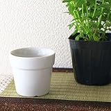 陶器製室内プランター Sサイズ 観葉植物 室内サイズ 小型 プランターのみ 美濃焼 シンプル 美濃焼