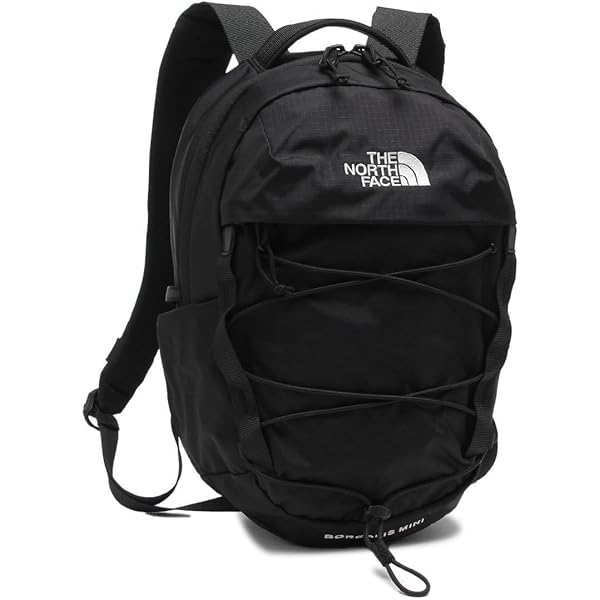 Amazon.co.jp: [ザノースフェイス] リュック バックパック デイパック