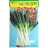 ネギ 種 なべちゃん葱 2dl