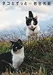 岩合光昭 写真集「ネコとずっと」