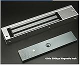 Olide多様なドアに適応できるの電磁ロック　