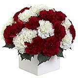 Nearly Natural 1372-RW Carnation Arrangement with Vase Red/White [並行輸入品]