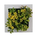 Zhhlinyuan 3D Succulent Plants Imitation Photo Frame Wall Decoration Artificial flowers Home Decor L