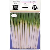 ネギ 種 夏一心 小袋（約20ml）