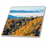 Danita Delimont – 秋 – Great Smoky Mountains国立公園、Newfoundギャップ – タイル 4-Inch-Ceramic ct_231399_1