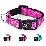 NESTROAD 犬首輪 調節可能 夜間反射 小型犬・中型犬・大型犬用 全犬種対応 おしゃれ メッシュ 通気性 安全 訓練用 メッシュ ソフト 痛くない 簡単装着 丈夫 (ローズレッド,M)