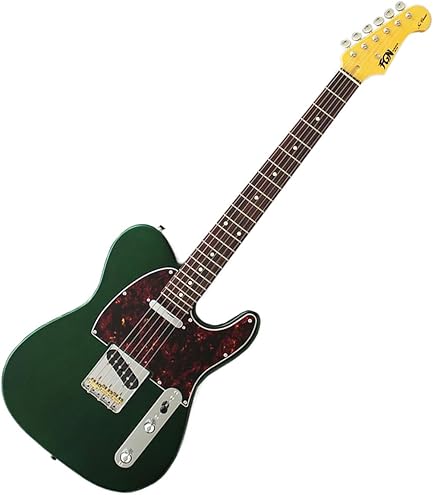 Amazon | FUJIGEN Neo Classic SERIES NTE100RAL-BK/01 エレキギター