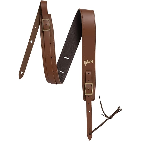 Amazon.co.jp: ギブソン GIBSON ASGSBL-20 2